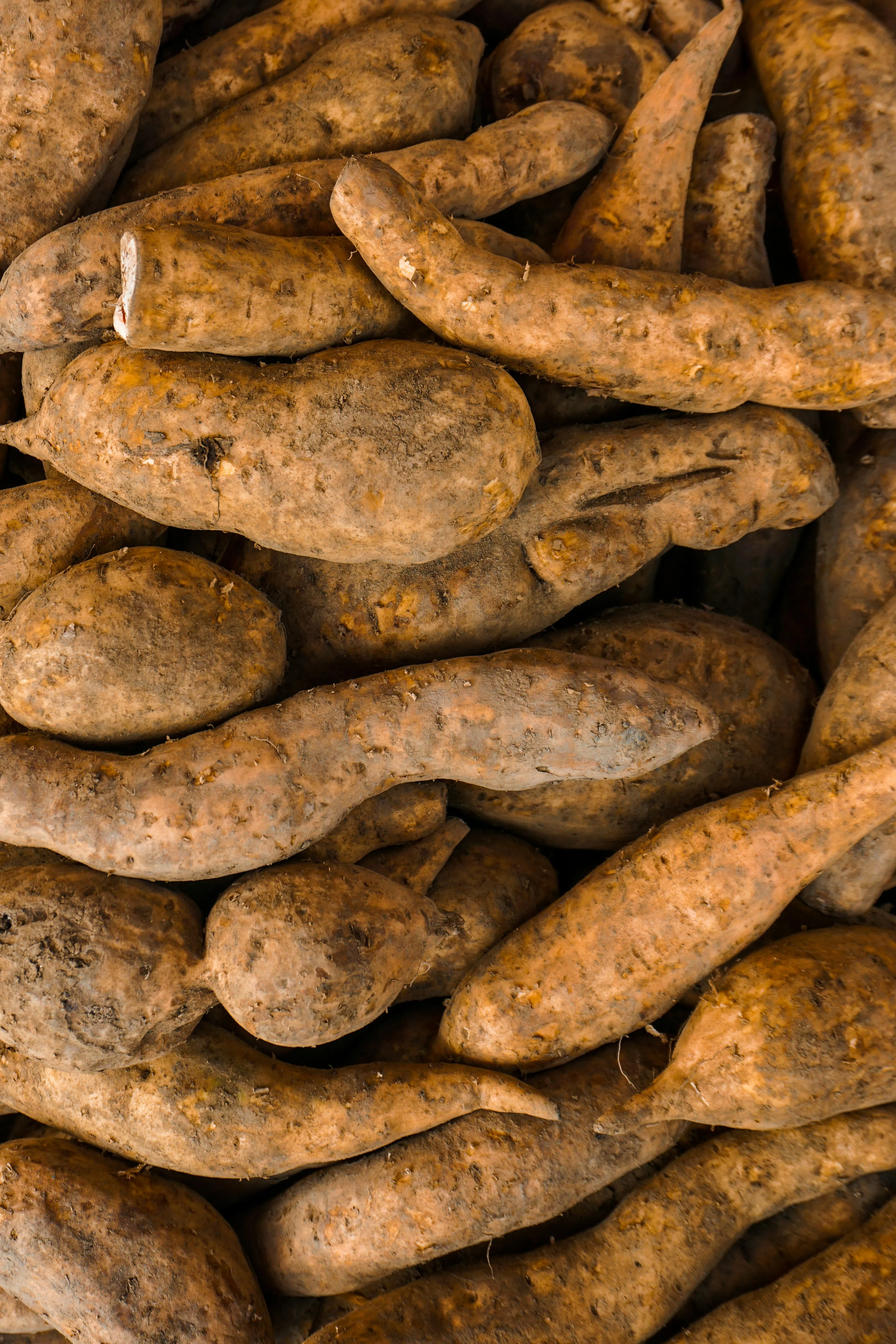 A pile of fresh yams — the kind of bulk produce DiceShare helps communities buy together